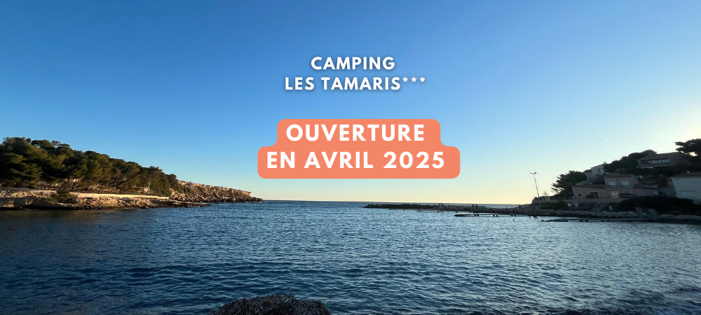 Pour des vacances les pieds dans l’eau, découvrez le Camping Les Tamaris***